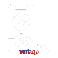 vntop