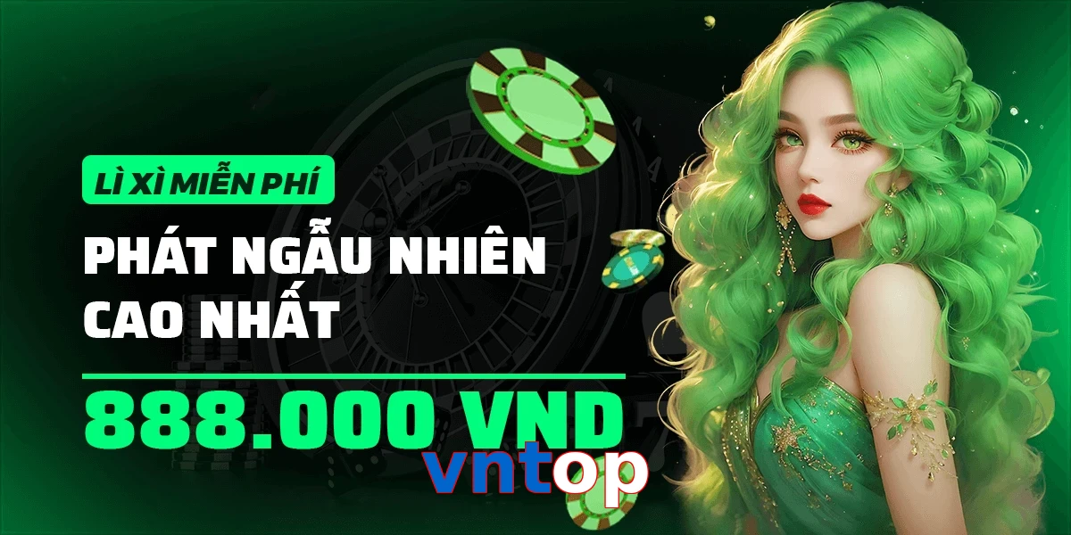 vntop