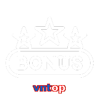 vntop