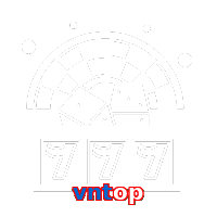 vntop