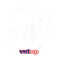 vntop